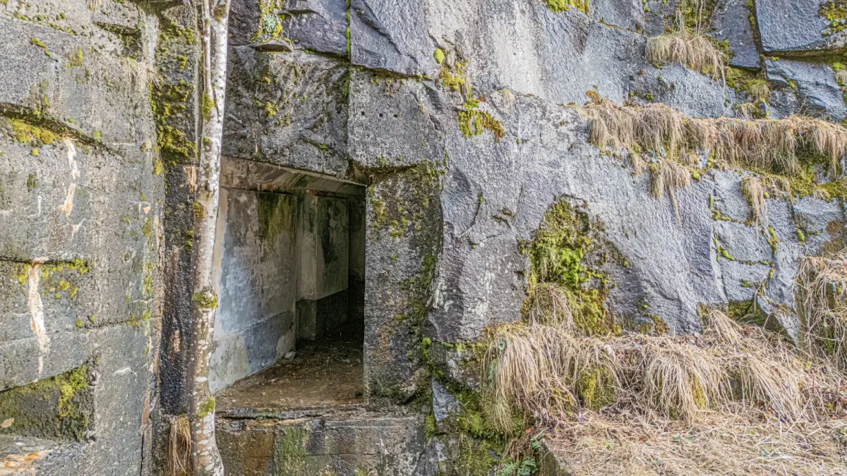 Fort 1