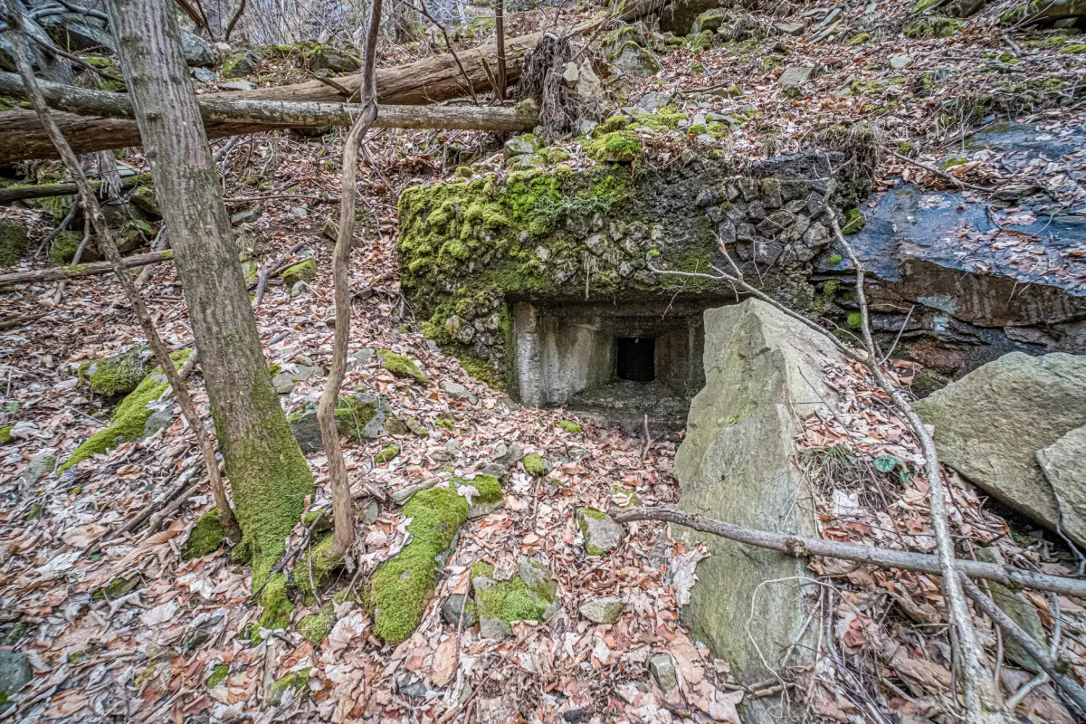 Fort 1