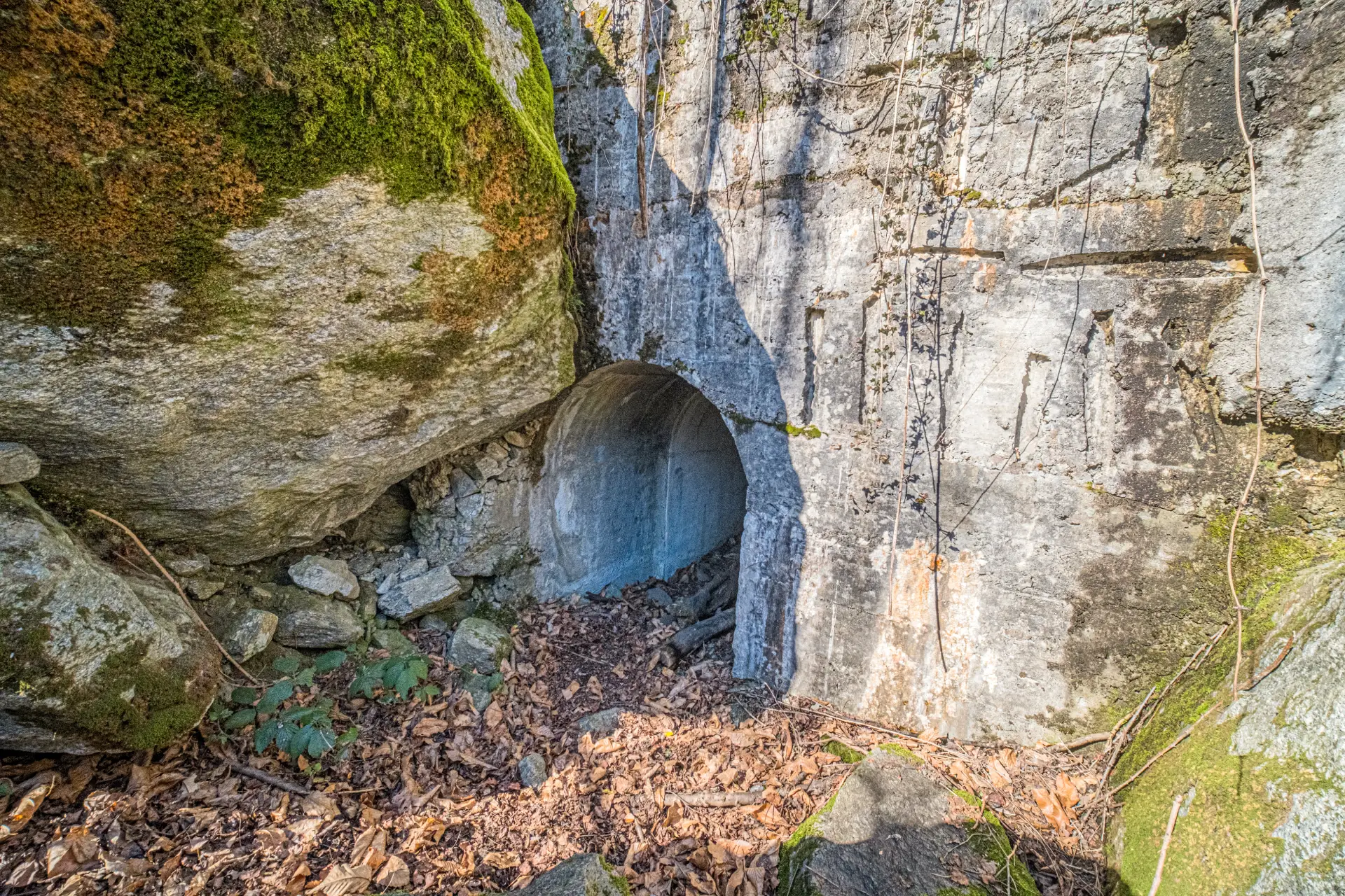 Fort 1